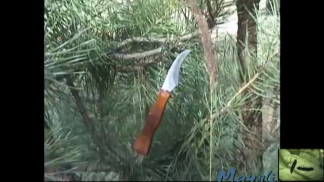 Удобный нож для грибника - универсальный