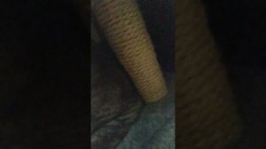 карты былдеют