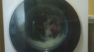 стирка тапок очков плавок и шапки на программе спортивная 20°с 800 об/мин