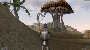 Morrowind