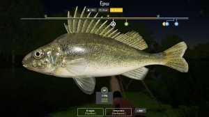 ЕРШ ТРОФЕЙ +ТОЧКА НА НОСАРЯ!!!СЕВЕРСКИЙ ДОНЕЦ - РУССКАЯ РЫБАЛКА 4