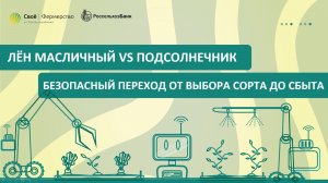 Лён масличный vs подсолнечник: безопасный переход от выбора сорта до сбыта