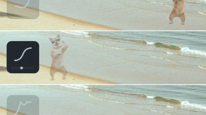 downloaded_ease_preview.mp4