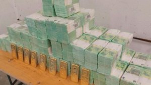 В Венгрии опубликовали кадры изъятых у украинцев денег и золота.