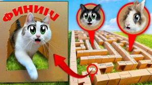 Построили Гигантский КАРТОННЫЙ ЛАБИРИНТ ! Челлендж для котов Малыша, Мурки