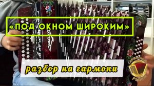 "Под окном широким" РАЗБОР на гармони от Гармонного Рынка #разборнагармони #купитьгармонь #гармошка