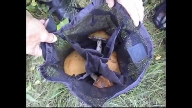 Ведро для грибника.