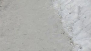 Отличная ученица своего учителя. БРАВО ЗАНАВЕС ЗАКРЫВАЕТСЯ