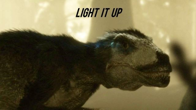 Nine Lashes - Light It Up