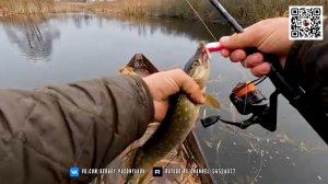 Лесной домик своими руками + Отличная Рыбалка. Только Натуральные материалы и приключения с собакой