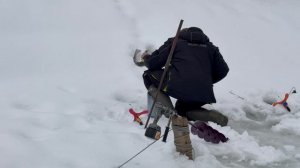 И опять поимка