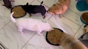 Пора плотно подкрепиться, а потом уж и веселиться.