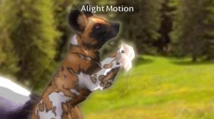 Анимка с вилд крафтом)