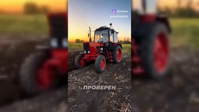 Мультик про котиков 🔥👊🏻 #dalle3 #cats #кот #юмор #нейросеть