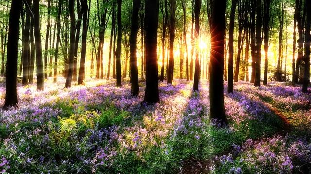 Деревня Добренькое   Истории про деревню и нечисть