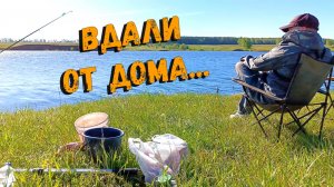 Рыбалка в конце мая. В поисках рыбы. Рыбалка на донки. Охота на карася