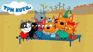 ТРИ КОТА / ИГРА ДЛЯ ДЕТЕЙ / ИГРА МУЛЬТФИЛЬМ 🐱👍😍