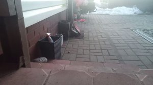 я со Сьюзей 1 часть