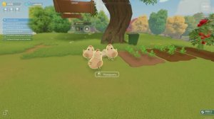 Farm to Table Demo (3) Куры что-то замышляют