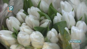 Тюльпаномания: почем главный цветок весны?