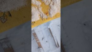 Окончание зимовки 2026 на Южном Урале. Готовлю точек к выносу пчёл.