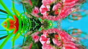 С 8 Марта!!! Праздничное поздравление Эти Розы для тебя 8 от Киностудии МКТ!!!