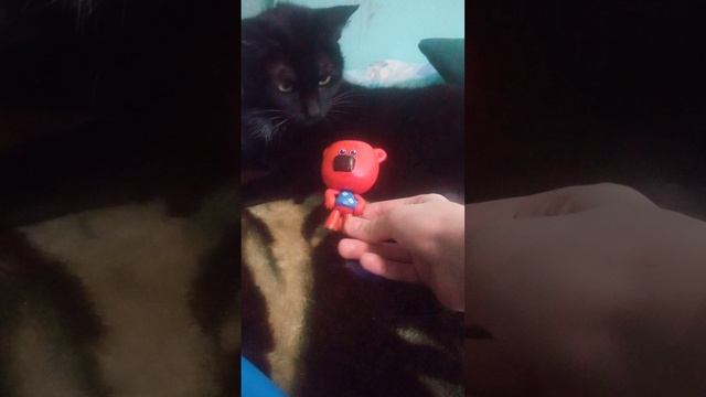 Кеша плэй ролик с милым созданием кошкай🐱 🐻❤❤❤❤❤
