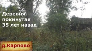 Покинутая три десятка лет назад деревня. Урочище на месте жилой деревни. Заброшенная деревня.