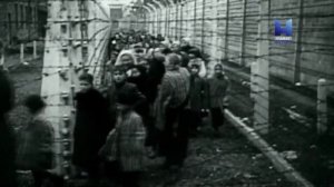 Вторая мировая война в цифрах 5 серия (документальный сериал, 2019)