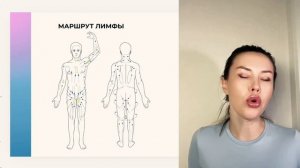 Лимфатическая система в моделировании тела как база моей методики коррекции тела