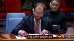 Выступление Д.С.Чумакова в СБ ООН по вопросу критических минералов и безопасности
