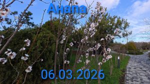 Анапа 06.03.2026