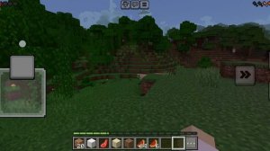 Миша Майнкрафт