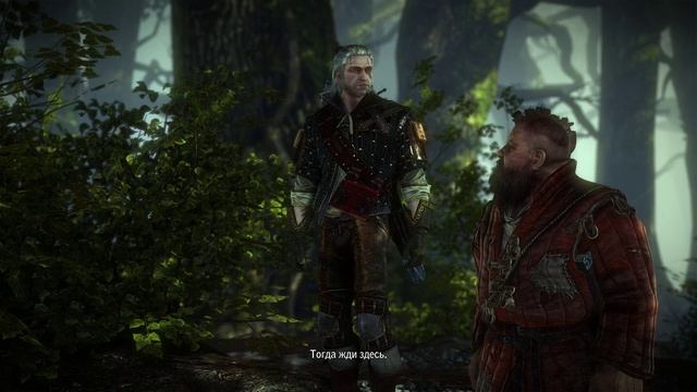 The Witcher 2 - [20] прохождение ПК русские субтитры 2020