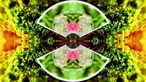 С 8 Марта!!! Праздничное поздравление Эти Розы для тебя 9 от Киностудии МКТ!!!