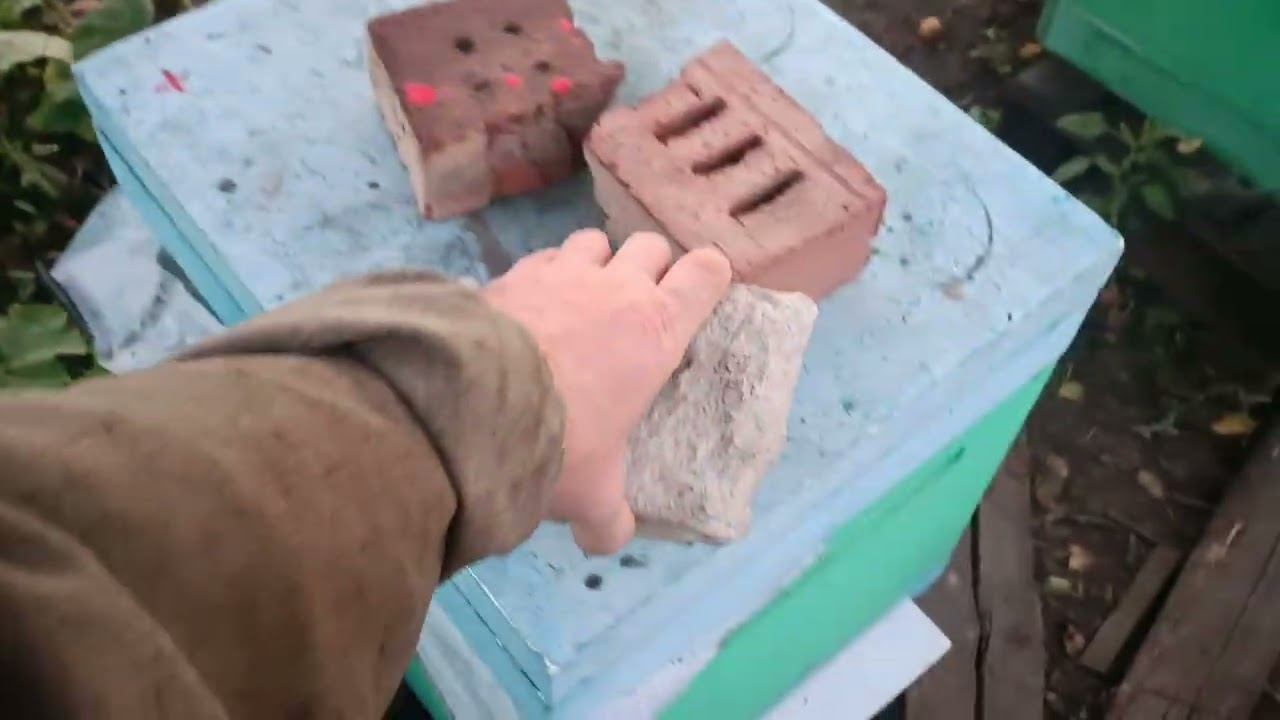 Хлорка вредная, Апистанзоль травит людей и пчёл!