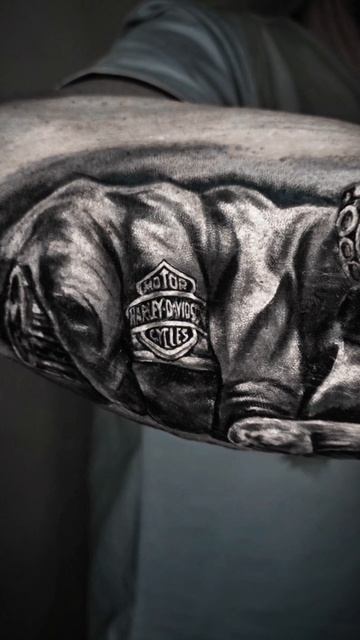 Тату Солнечногорск Kot-Ink Ru