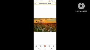 с 8 марта поздравляю всех девочек и мам . 
С праздником!!!!