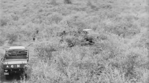 Обучение вождению автомобилей в сложных условиях в колонне, 197х