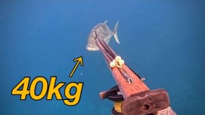 Подводная охота / Полосатый джек, 40 кг