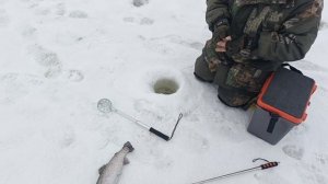 VID_20260306_154548_830