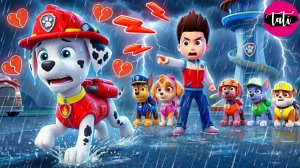 Щенячий патруль и Маршалл. Залипательное видео. Мультфильм для детей и малышей. Анимация 340