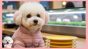 Материнское сердце ❤️ 🐶 Ещё видео с Нямнямом и Нямдолем 🎧 ASMR