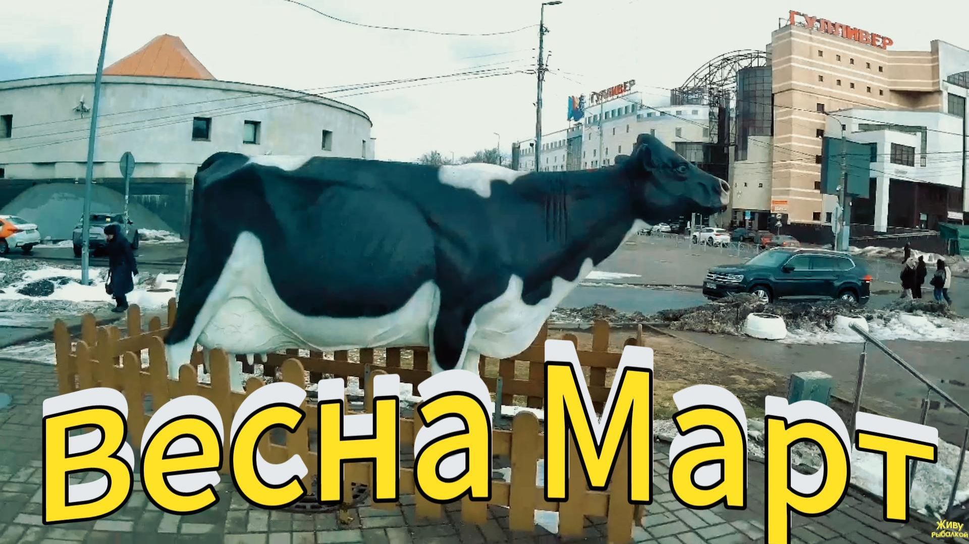 ПРОБЕЖКА ДЕНЬ СПОРТА КАРДИ ТРЕНИРОВКА Крестовский остров Санкт-Петербург