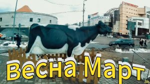 ПРОБЕЖКА ДЕНЬ СПОРТА КАРДИ ТРЕНИРОВКА Крестовский остров Санкт-Петербург