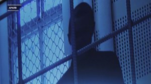 ДЕПУТАТА ЗС АЛЕКСЕЯ БОЙКОВА ОБЪЯВИЛИ В ФЕДЕРАЛЬНЫЙ РОЗЫСК