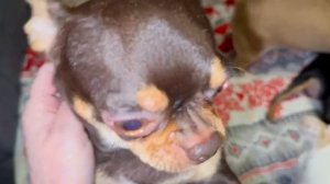 Доброго субботнего утречка и чудесного начала.