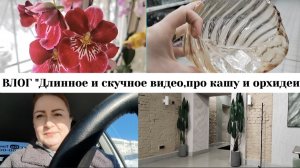 ВЛОГ "Длинное и скучное видео,про кашу и орхидеи!)😊🌹