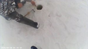 рыбалка в усински пот мостом