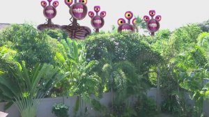 Радужные друзья пришли ко мне домой?